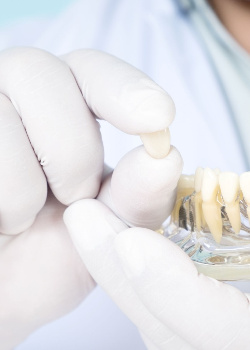 Gloved hand holding dental crown and clear jaw base with sample dental implant